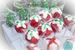 CakePops . Special . Weihnachten . Christmas .